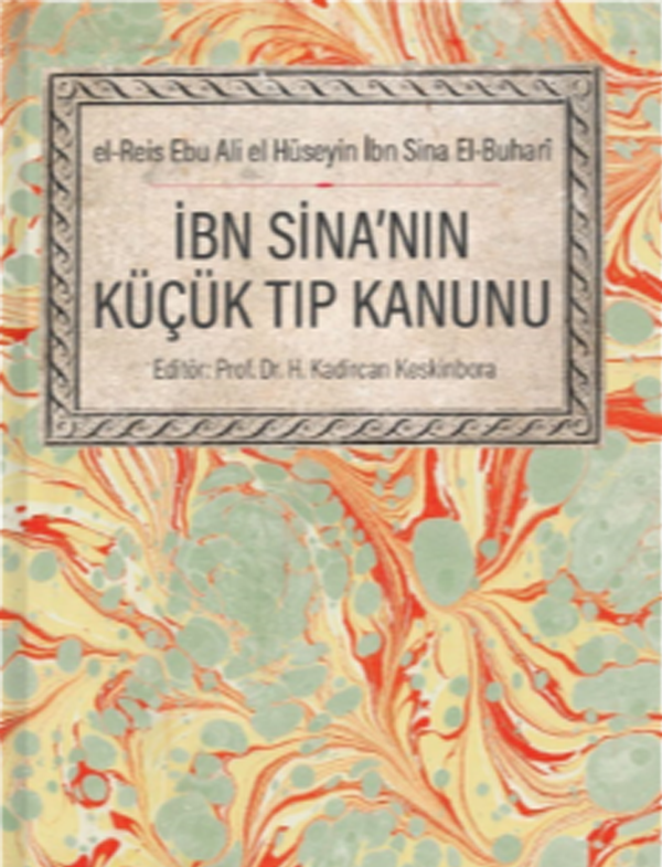 İBN Sina'nın Küçük Tıp Kanunu, Tıp Tarihi Alanında